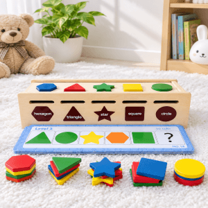 Wooden Shape and Color Sorting Box